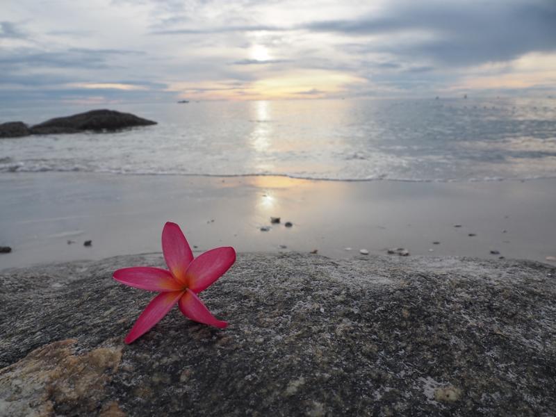 Mod Guesthouse Hua Hin Dış mekan fotoğraf